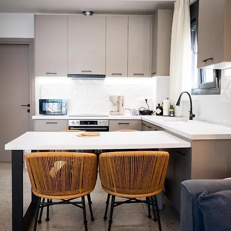 Hébergement de vacances Sithoniars Luxury Two Floor Maisonette With Private Pool & Garden